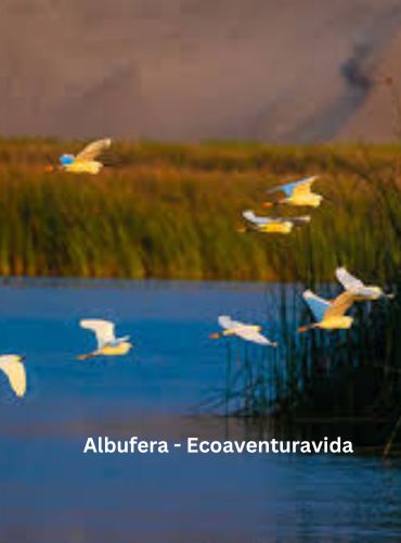 Prog. Vivenciales Outdoors