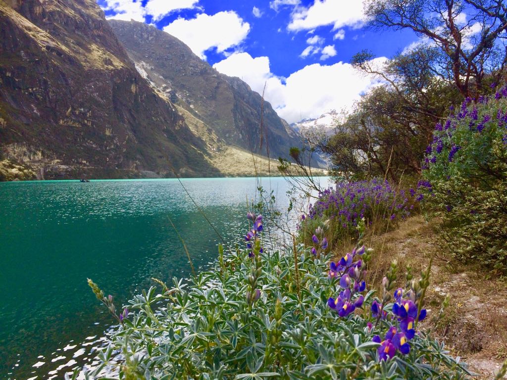 Viajes que Sanan: Renueva el espíritu en los Destinos Energéticos de Perú.