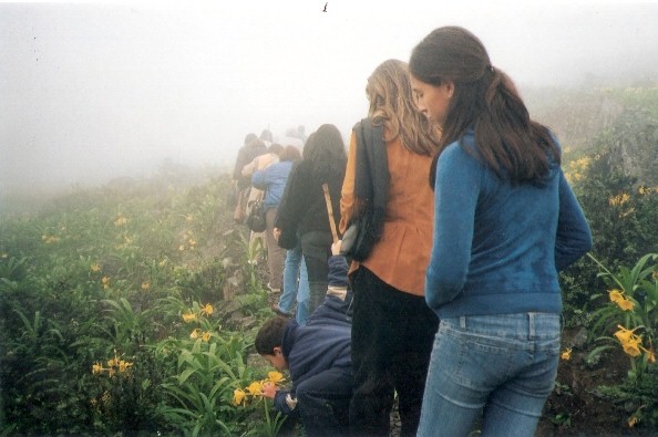 Silencio, Naturaleza y Paz: Lugares Donde el Tiempo Se Detiene 5 Silencio, Naturaleza y Paz: Lugares Donde el Tiempo Se Detiene