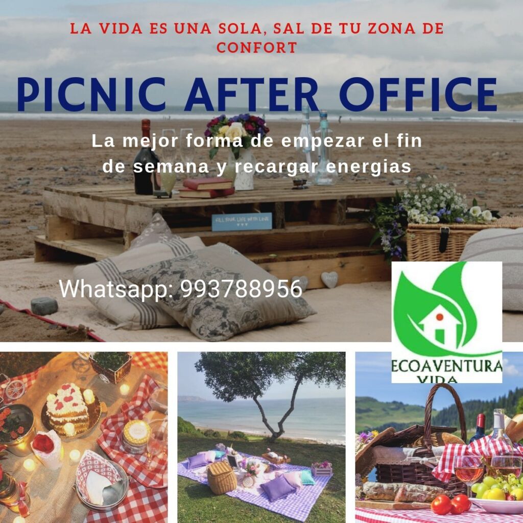 Picnic Vivencial: Historia, Beneficios y el Poder Sanador de Reconectar en la Naturaleza 4 Picnic Vivencial: Historia, Beneficios y el Poder Sanador de Reconectar en la Naturaleza